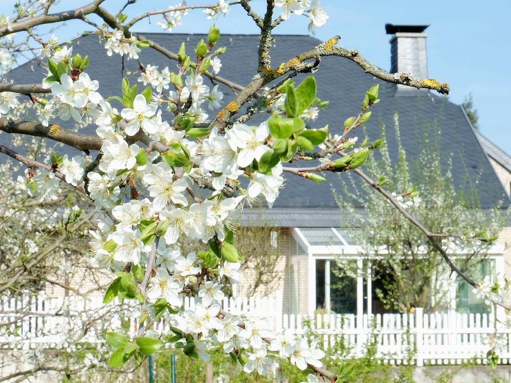VILLA ORCHARD Frankfurt Schlüsseltresor Kriftel Exterior foto