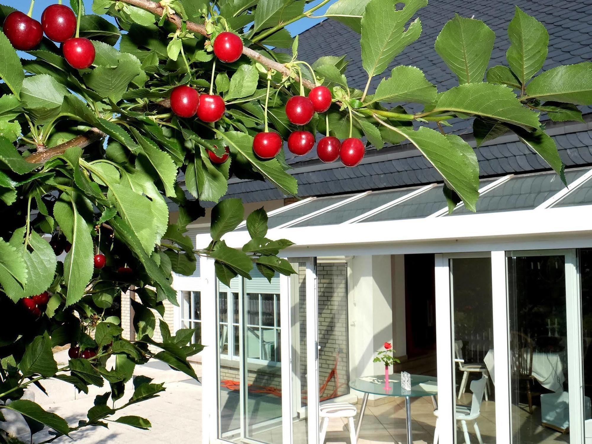 VILLA ORCHARD Frankfurt Schlüsseltresor Kriftel Exterior foto